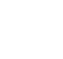 PPI Logo